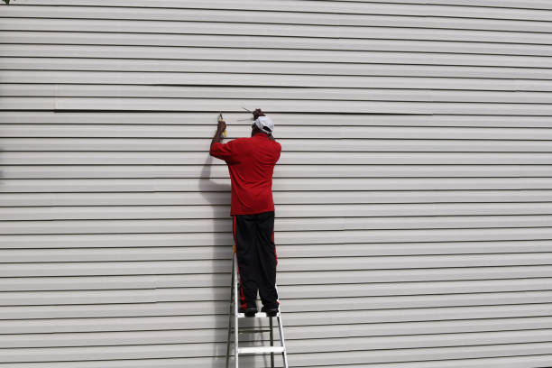 Best Historical Building Siding Restoration  in Orange Park, FL